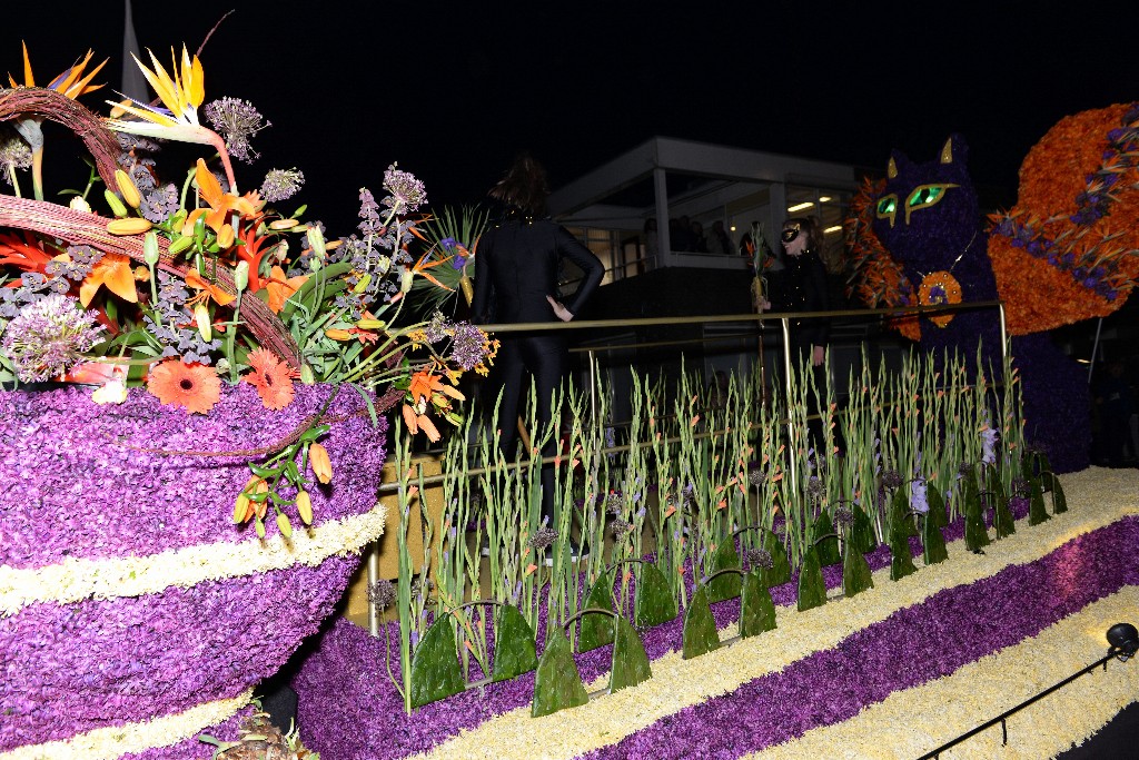 ../Images/Bloemencorso Noordwijkerhout 190.jpg